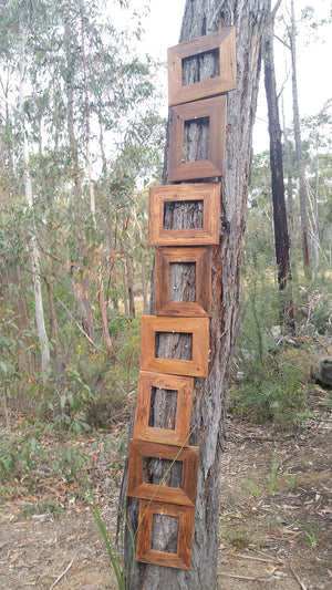 Buy a Gift Voucher for Wombat Frames