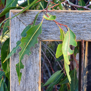 Weathered grey rustic fence paling look or driftwood for WombatFrames picture frames and mirrors