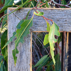 Fence paling look picture frame moulding for all variations and combinations at WombatFrames