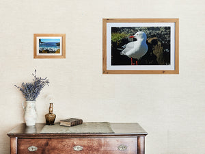 3cm antique white mat and 2cm wide photo frame in raw brown gum recycled timber