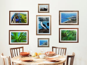 Gallery Photo Frames in Recycled Timber and White mats, made in Australia